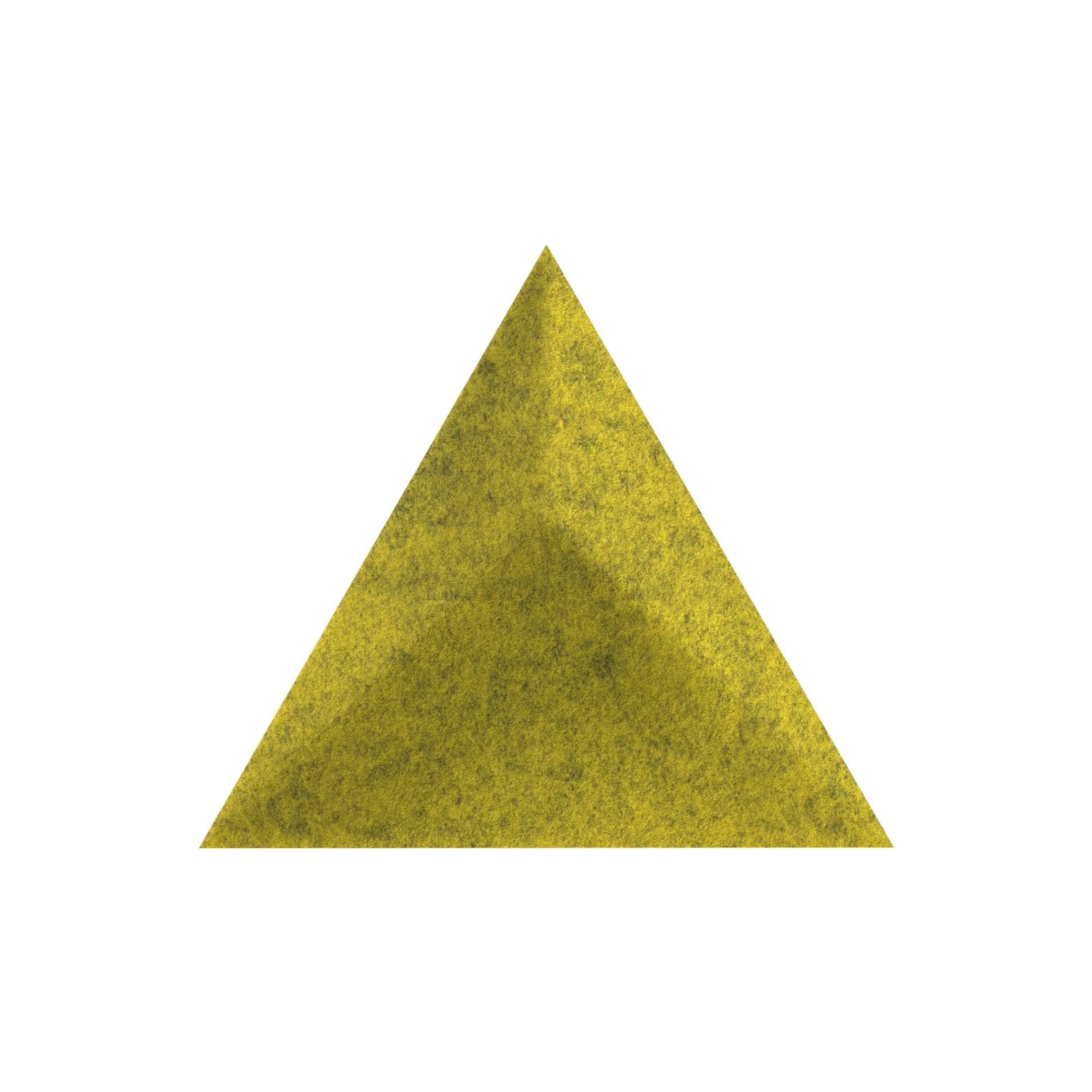 Rhino Triangle