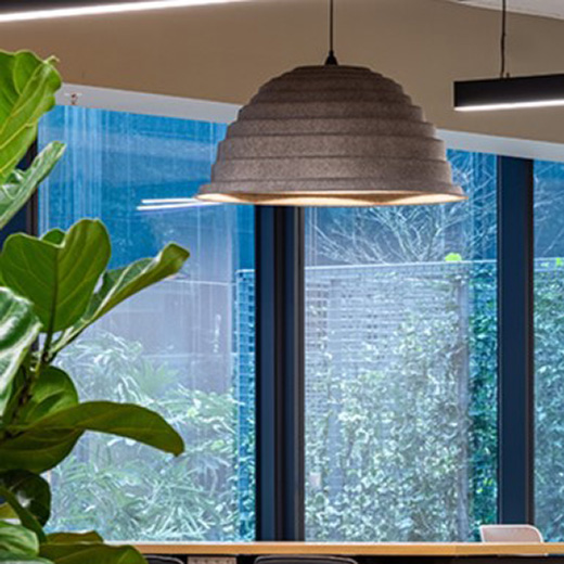Topolight